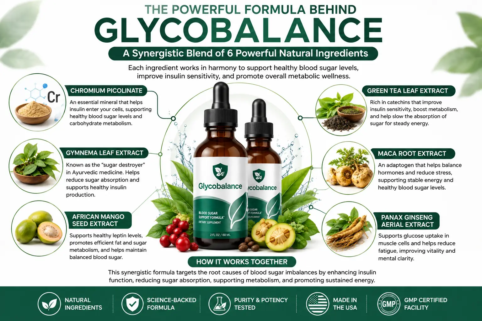 What Is GlycoBalance — formula overview