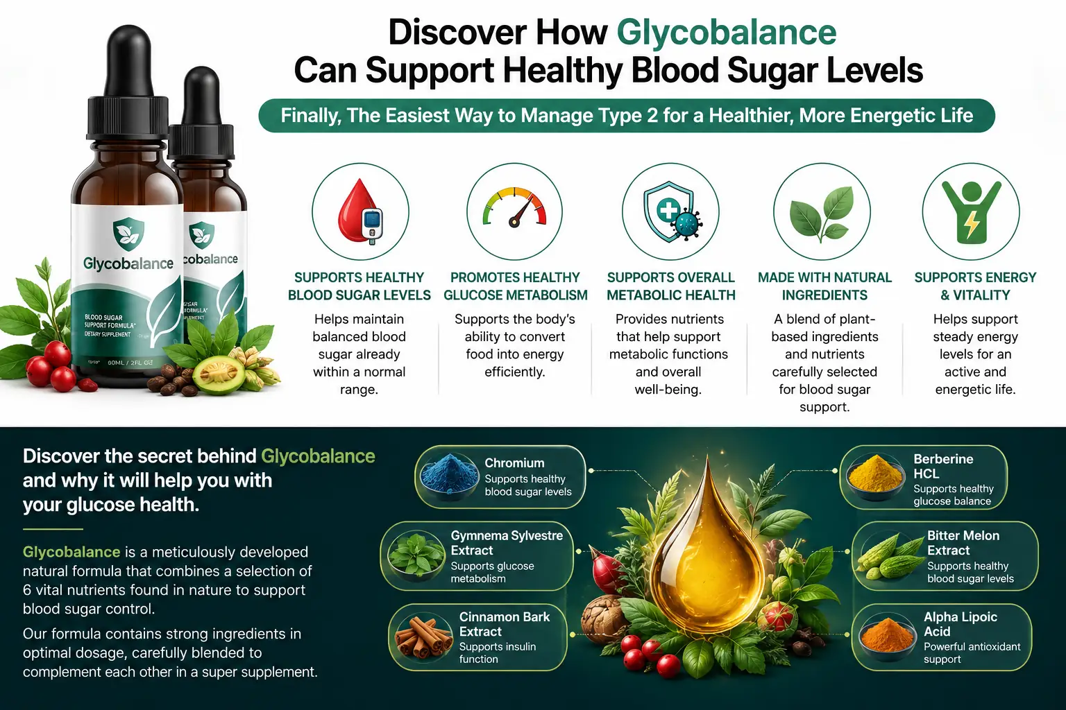 How GlycoBalance works — mechanism overview